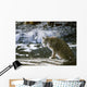 Bobcat Wall Decal