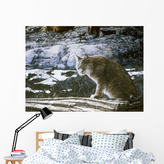 Bobcat Wall Decal