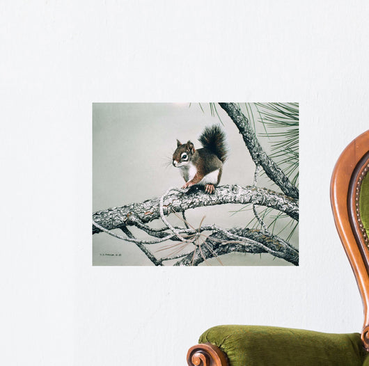 Red Squirrel Wall Decal