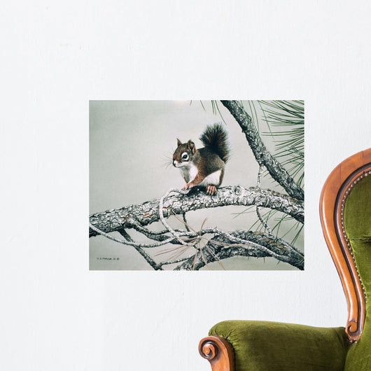Red Squirrel Wall Decal