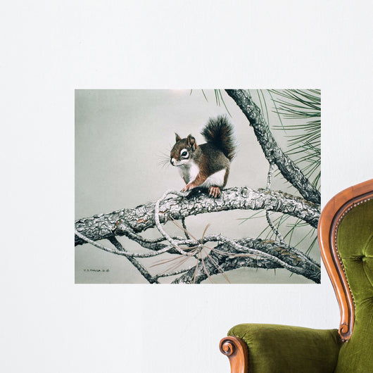 Red Squirrel Wall Decal