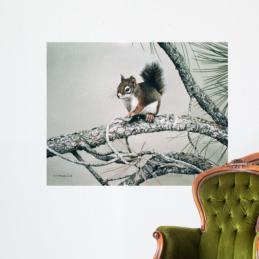 Red Squirrel Wall Decal