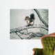 Red Squirrel Wall Decal
