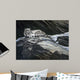 Mountain Monarch Wall Decal