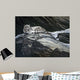 Mountain Monarch Wall Decal