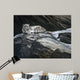 Mountain Monarch Wall Decal
