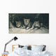 Three Little Wolves Wall Decal