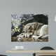 Resting Spot Wolf Wall Decal