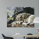 Resting Spot Wolf Wall Decal