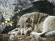 Resting Spot Wolf Wall Decal