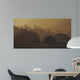 Golden Mist Wall Decal