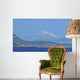 Mt Baker Wall Decal