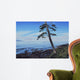 Pacific Shore Wall Decal