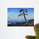 Pacific Shore Wall Decal