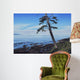 Pacific Shore Wall Decal