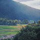 St Mary's Valley Wall Decal