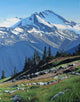 Summer Mountain Wall Decal