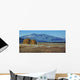 Wycliffe Autumn Wall Decal
