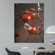 Winter Apples Wall Decal