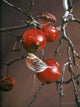 Winter Apples Wall Decal