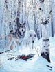 Fire and Ice Wall Decal