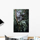 Eucalyptus Climber Wall Decal