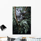 Eucalyptus Climber Wall Decal