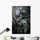 Eucalyptus Climber Wall Decal