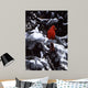 Cardinal Blue Spruce Wall Decal