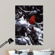 Cardinal Blue Spruce Wall Decal