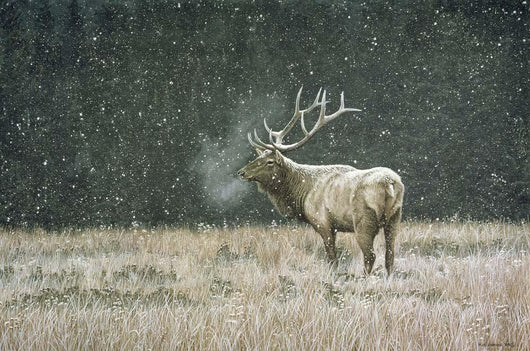 Early Snowfall Wall Decal