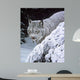 Behind Hemlock Lynx Wall Decal
