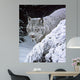 Behind Hemlock Lynx Wall Decal