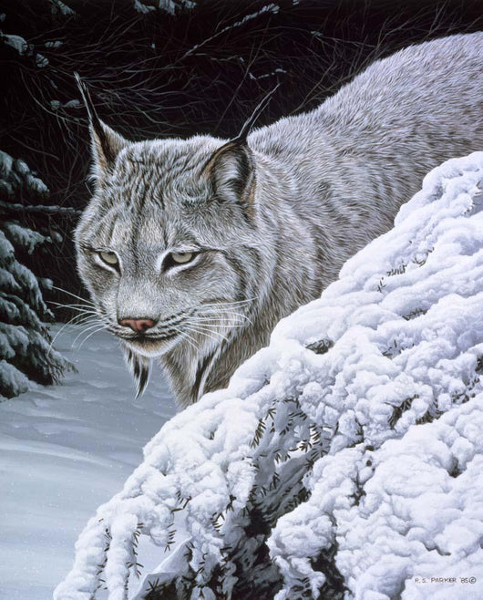Behind Hemlock Lynx Wall Decal