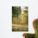 Autumn Aspen - White Tailed Deer Wall Mural