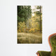 Autumn Aspen - White Tailed Deer Wall Mural