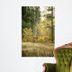 Autumn Aspen - White Tailed Deer Wall Mural