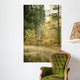 Autumn Aspen - White Tailed Deer Wall Mural