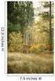 Autumn Aspen - White Tailed Deer Wall Mural