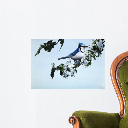 Apple Blossoms and BluJay Wall Decal