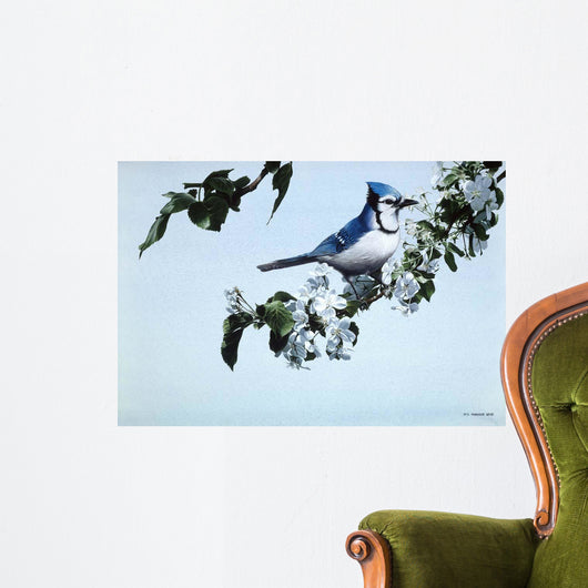 Apple Blossoms and BluJay Wall Decal