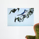 Apple Blossoms and BluJay Wall Decal