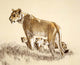 Lioness and Cubs Wall Decal