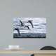 Above Waves Common Terns Wall Decal