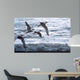 Above Waves Common Terns Wall Decal