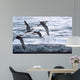 Above Waves Common Terns Wall Decal