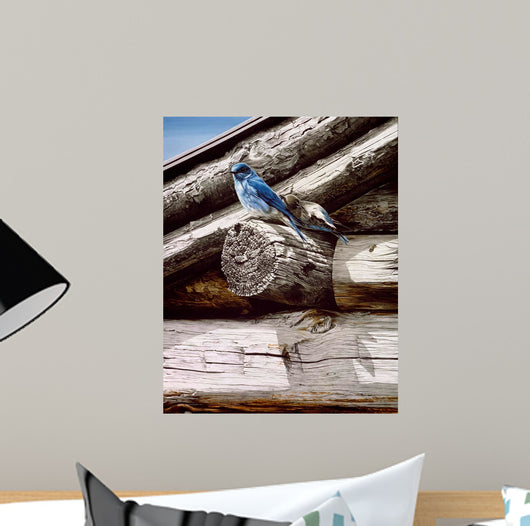 Weathered Wood Wall Decal