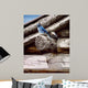 Weathered Wood Wall Decal