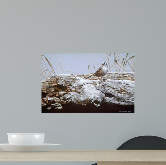 White Crowned Sparrow Wall Decal