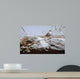 White Crowned Sparrow Wall Decal